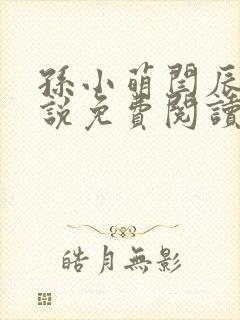 孙小萌闫辰的小说免费阅读