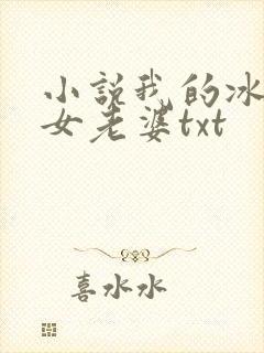 小说我的冰山美女老婆txt