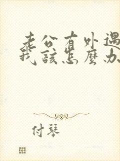 老公有外遇之后我该怎么办