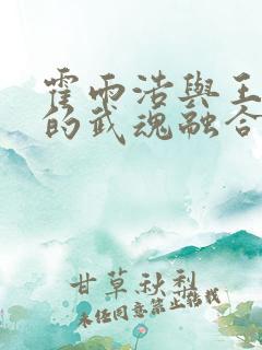 霍雨浩与王秋儿的武魂融合技