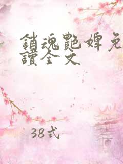 销魂艳婢免费阅读全文