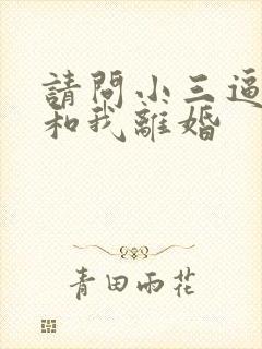 请问小三逼老公和我离婚