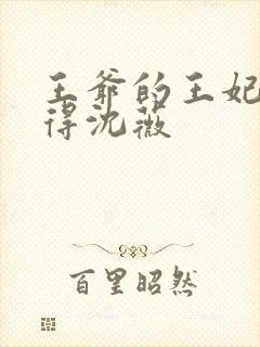 王爷的王妃惹不得沈薇