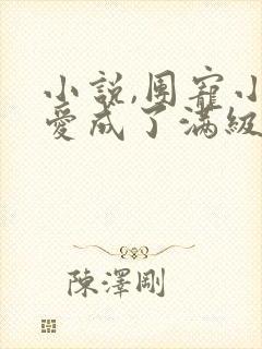 小说,团宠小可爱成了满级大佬