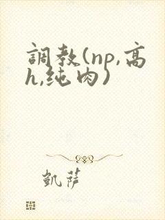 调教(np,高h,纯肉)