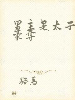 男主是太子强取豪夺