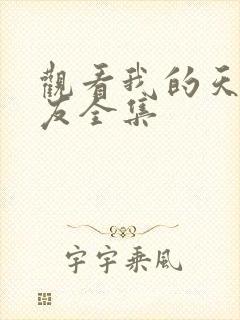 观看我的天才女友全集