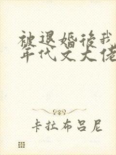 被退婚后我嫁给年代文大佬