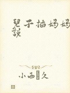 儿子插妈妈逼小说