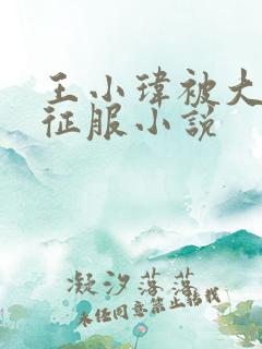 王小玮被大肉楱征服小说