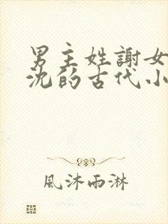 男主姓谢女主姓沈的古代小说