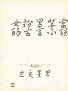 女扮男装当皇子的古言小说