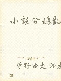 小说公媳乱论