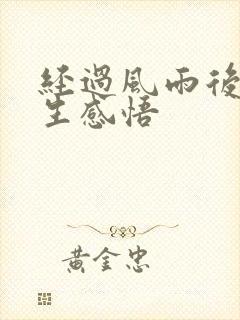 经过风雨后的人生感悟