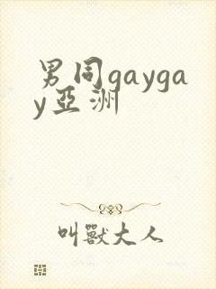 男同gaygay亚洲