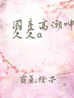 国产高潮呻吟久久久a