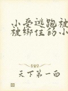 小受逃跑被囚禁被绑住的小说