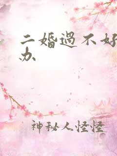 二婚过不好怎么办