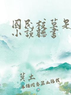 国民校草是女生小说听书