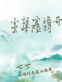 小说官场奇才刘云峰陆羽