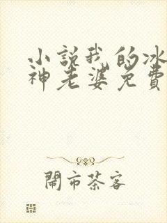 小说我的冰山女神老婆免费阅读