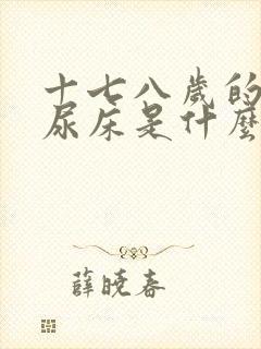 十七八岁的女孩尿床是什么原因