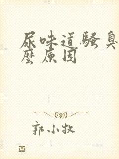 尿味道骚臭是什么原因