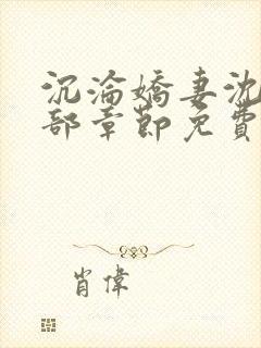 沉沦娇妻沈丹全部章节免费阅读