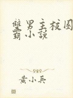 双男主校园双学霸小说