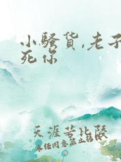 小骚货,老子操死你