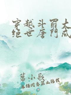 穿越斗罗大陆2绝世唐门成为霍雨浩的小说