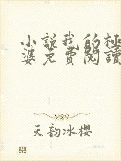 小说我的极品老婆免费阅读