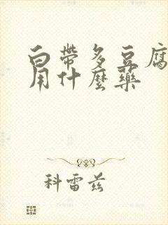 白带多豆腐渣状用什么药