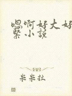 嗯啊好大好粗好紧小说