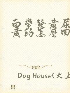 白带发黄尿也是黄的怎么回事