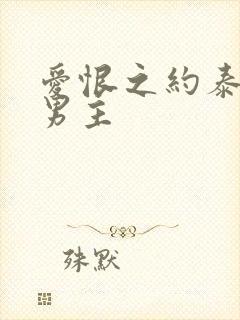 爱恨之约泰剧双男主