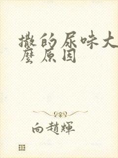 撒的尿味大是什么原因