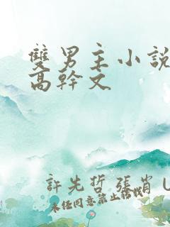 双男主小说推荐高干文