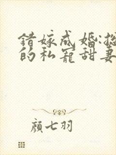 错嫁成婚:总裁的私宠甜妻