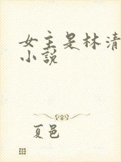 女主是林清浅的小说