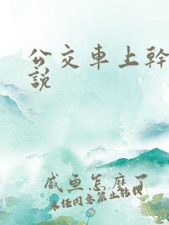 公交车上干逼小说