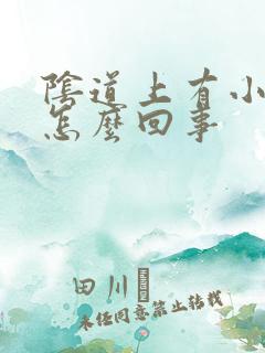 阴道上有小黑点怎么回事