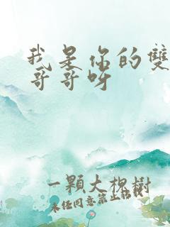 我是你的双胞胎哥哥呀