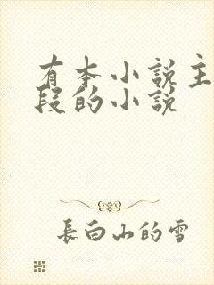 有本小说主角姓段的小说