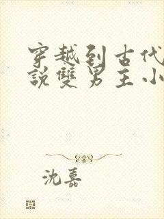 穿越到古代的小说双男主小说