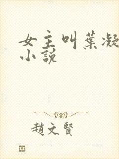 女主叫叶凝月的小说