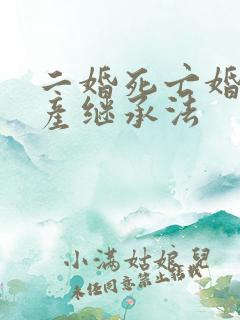 二婚死亡婚前遗产继承法