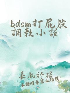 bdsm打屁股调教小说