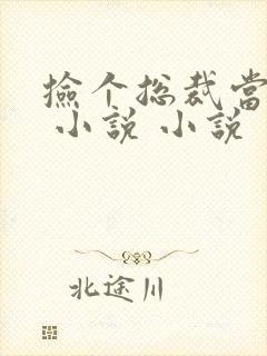 捡个总裁当老婆 小说 小说