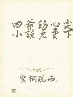 四爷的心尖宠妃小说免费下载txt